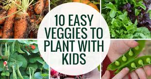 Check spelling or type a new query. Ten Easy Veggies To Grow With Kids Picklebums