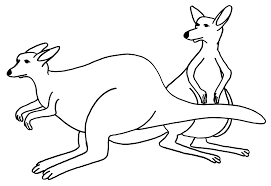 Get more coloring pages from. Free Printable Kangaroo Coloring Pages For Kids