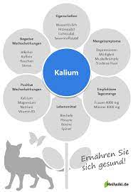 Die beste kombination aus fettarm und proteinreich. Kalium Tabelle Zum Ausdrucken 27 Lebensmittel Die Hunde Nicht Fressen Und Trinken Durfen Dogco De Kaliumreiche Lebensmittel Ernahrungsumstellung Oder Kaliumpraparate Morning News