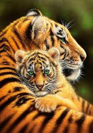 Comprar 500 Piezas Puzzle Castorland Mother 39 S Love B 52448 Tigers Amp B52448 Castorland 2020 Hayvan Bebekler Kediler Ve Yavrulari Buyuk Kediler