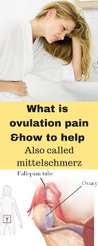 Pin On Ovary Heallth