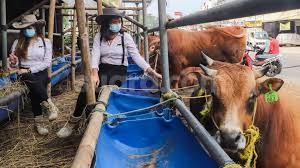 Tingkat keparahan nyeri tersebut bisa bervariasi, mulai dari ringan hingga. Daftar Rph Di Jakarta Lengkap Daftar Harga Hewan Kurban 2021 Suara Jakarta