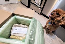 How much does the farmer's dog cost? Unbiased The Farmer S Dog Food Review 2021 We Re All About Pets