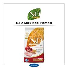 En Iyi Kuru Kedi Mamasi Markalari Ve Cesitleri 2020