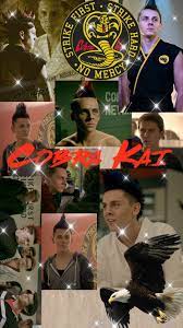 Discover more posts about cobra kai hawk. Cobra Kai Eli Wallpapers Wallpaper Cave