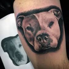 Maybe you would like to learn more about one of these? 50 Pitbull Tattoo Designs Fur Manner Hund Tinte Ideen Mann Stil Tattoo Pitbull Tattoo Hund Tattoo Ideen Tattoo Erstellen