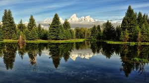 Reflection of trees in water. Nature Scenery Lake Trees Water Reflection Wallpaper Nature And Landscape Wallpaper Better