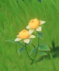 All you need to do is head to the shop and interact with her to know what flower lisa might like. Sweet Flower Genshin Impact Wiki Fandom