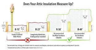 Attic Cat Insulation Bswcreative Com