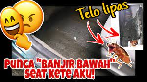 Check spelling or type a new query. Punca Air Aircond Menitik Betakung Bawah Dashboard Penuh Bawah Kerusi Penumpang Kereta Youtube