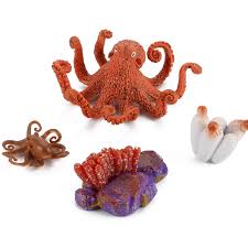 Amazon.com: Fantarea 4 figuras de animales marinos marinos, criaturas  oceánicas, modelos de acción, ciclo de vida, pulpo, adorno para pasteles,  ...