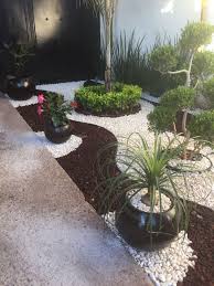 Palm Tree And Hybiscus Pots Front Yard Garden Design Rock Garden Landscaping Rock Garden