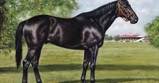 Kentucky Derby Winner Black Gold By Richard Stone Reeves Equine Artwork Beautiful Horses Horse Art