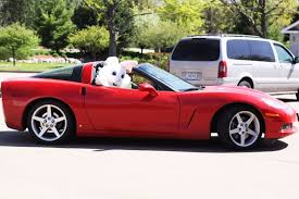 Any stamped Easter Eggs on the C5? - CorvetteForum - Chevrolet Corvette  Forum Discussion