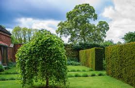 Wie wir schritt für schritt unseren garten angelegt haben. Englischer Garten Anlegen Schone Ideen Fur Die Schonsten Garten