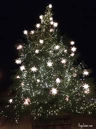 Maybe you would like to learn more about one of these? Delightful Christmas Lights In The Sacramento Area Roseville California Joys