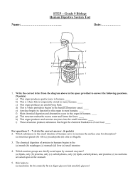 Step Grade 7 Biology