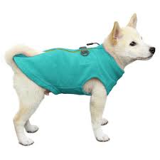 gooby zip up fleece dog vest turquoise