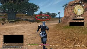 ビギナーについて知っておこう Fellowship