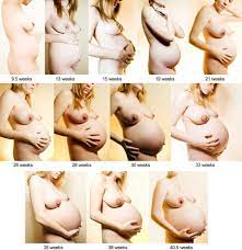 Interracial Pregnancy Progression Nude 29298 | Hot Sex Picture