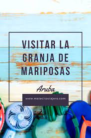 Turismo En Aruba El Mariposario De La Isla Feliz Aruba Viajes Caribe Islas