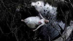 Somebody Once Told Me The World Is Gonna Roll Me Remix Indie Spotlight Julie Mintz Indie Folk Music Americana