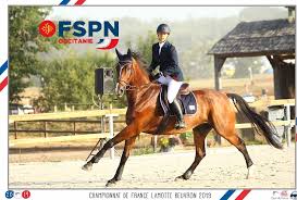 Les autos, développant jusqu'à 1200cv aux roues arrières, glissent sur une piste 100% asphalte. Federation Sportive De La Police Nationale Championnat De France D Equitation Ffe Federation Sportive De La Police Nationale