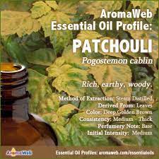 Patchouli Essential Oil Profile Benefits And Uses Essential Oil Profiles Patchouli Essential Oil Essential Oil Uses