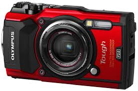 Olympus' third global image of the year life science light microscopy award recognises the very best in life science imaging worldwide. Olympus Tg 5 Review