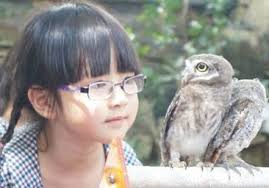 Cùng cư dân thành phố tuổi thơ chăm sóc thú cưng