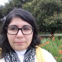 PDF) LA LIGA DE DAMAS CHILENAS: De la cruzada moralizadora al sindicalismo  femenino católico, 1912-1918