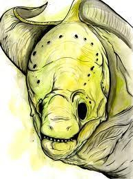 Moray Eel Tattoo Google Search