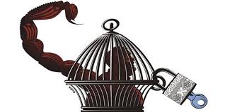 La corte suprema de perú anuló este miércoles el indulto al expresidente peruano alberto fujimori y ordenó su captura para llevarlo de vuelta a la cárcel. 10 1 Razones Para Oponerse A Los Indultos