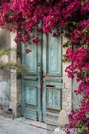 Old Wooden Door With Bougainvillea In Cyprus Wall Mural Pixers We Live To Change Unique Doors Old Wooden Doors Cool Doors