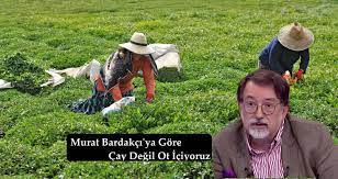 Murat Bardakci Ya Gore Cay Degil Ot Iciyoruz Kose Yazisi Yaya Otlar Cay