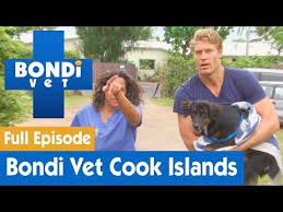 Every item on this page was chosen by a woman's day editor. Bondi Vet Visits The Cook Islands Full Episode S07e08 Bondi Vet Youtube Vet Visits Vets Vet Clinics