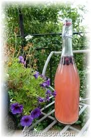 Kefir De Fruits A L Eau Differentes Recettes Pour Preparer La Boisson Levain Et Laitage Kefir De Fruit Boisson Kefir Kefir
