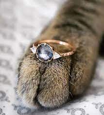 Pin On Wedding Ring