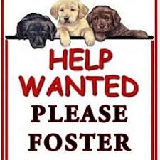 Why do we do puppy love pet rescue? Woof Love Rescue In Collingswood New Jersey