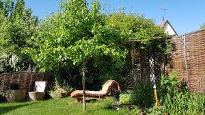 Alles wissen natur und garten (tv episode 2021) on imdb: Der Garten Als Quelle Der Kraft Gartenzeitung Com