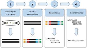 National galleries of scotland, representing the national art collection of scotland. Library Preparation For Next Generation Sequencing A Review Of Automation Strategies Sciencedirect