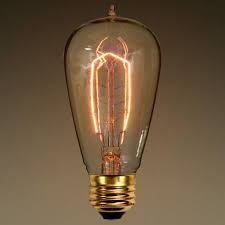 Satco S2413 Light Bulb 40 Watt Cage Filament Edison St19 E26 Edison Light Bulbs Light Bulb Art Vintage Light Bulbs