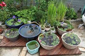 Diy Containers Garden Pond Container Water Gardens Small Backyard Gardens Small Water Gardens
