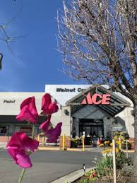 Maybe you would like to learn more about one of these? Walnut Creek Hardware 28 Photos 196 Reviews Hardware Stores 2044 Mt Diablo Blvd Walnut Creek Ca Phone Number Yelp