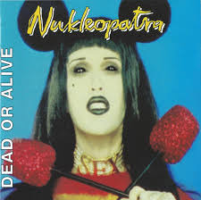 Steve Coy Discography: Vinyl, CDs, & More