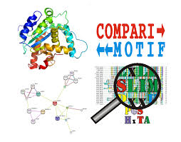 Dynamic modelling technique was used to build two exclusive models for phosphorylation dependent degradation of myc by fbxw7 (model 1) and phosphorylation independent degradation by skp2. Integrated In Silico Prediction Of Protein Protein Interaction Motifs Computational Modelling Group