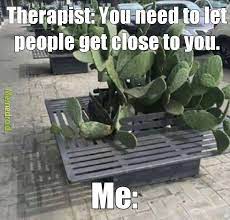 Happy national watermelon day go grab yourself a juicy slice of this delicious fruit and get your laugh on to these watermelon. The Best Bench Memes Memedroid
