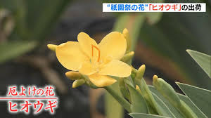 Yahoo!ニュース - News update