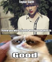 I Knew You Were Trouble When You Walked In Meme Grumpy Cat Taylor Swift Grumpycat Meme Grumpy Cat Quotes Grumpy Cat Meme Funny Grumpy Cat Memes