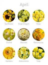 Flowers in season in april for wedding. Wedding Budget Tip 16 Choose In Season Flowers Seasonal Flowers Tropical Wedding Flowers April Flowers